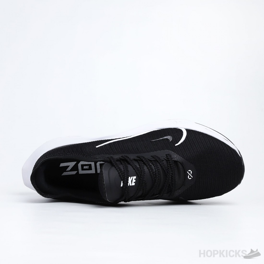 pegasus 39 pro